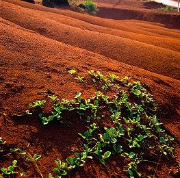 《索尼克：超级巨星》十分钟实机展示全新画面